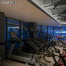 와이짐휘트니스 이미지