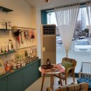 커몽커몽펫 이미지