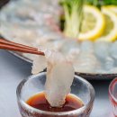 돌맹이수산 네이버블로그