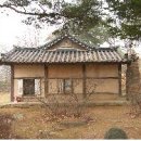 담 Daum카페
