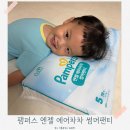 땀많은 아이 여름 팬티기저귀 샘플 사용 후기 팸퍼스 체험팩 신청방법