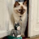 오산민박 | 프랑크푸르트 한인민박 숙소 추천 중앙역 1분 컷 조식 주는 제이시앤블루