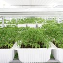 오천농장 이미지