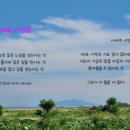 다비다모자원
