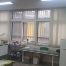 고원초등학교 이미지