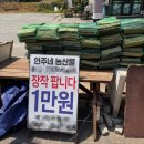 스틸블루 애견샵 | 블루문캠핑장 | 79번째 캠핑 : 해먹에 누워 울창한 숲속을 즐길 수 있는 프라이빗 힐링 캠핑장