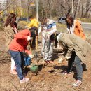 신화2호 이미지