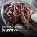 명품황금오리알 | 경주 오리불고기 현지인 찐맛집 황금알생오리 포석정 경주여행 추천