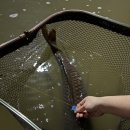 잡아잡아낚시카페 | 9키로괴물잡은 실내낚시 후기, LOVE낚시카페 신림놀거리 추천