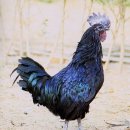 (주)지산농원 이미지