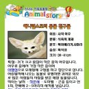 애니멀스토리