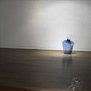 향기를보다