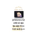문정역 2번출구 | [8호선 문정역 2번 출구 송파구 카페 추천] 휴이트 VS 텐더터틀커피로스터스