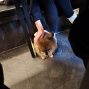 포미키친 부천직영점 이미지