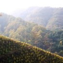 수도녹색숲모티길 이미지