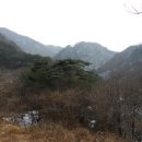 개울 이미지