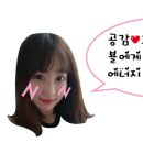 스트라이크존순천조례구장 이미지