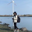 월령리(월령포구) 이미지