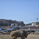 여강길(3-1코스 강천섬길) | 여주 여강길 (3-1코스 강천섬길)