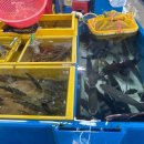 함안활어 이미지