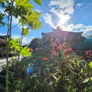 태백산한옥민박 이미지