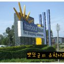 골드빅타운