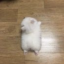 친구네 이미지