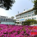 고성군 12 이미지