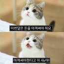 지나오다