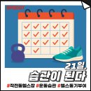 작심삼일 이미지