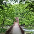 파회주차장 이미지