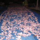 자미농장 이미지