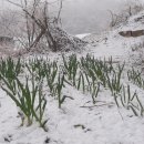 오지농장 이미지