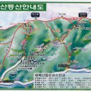 중앙로타리-축협앞 이미지