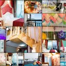 까치와 산토리나 이미지