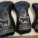 드라이버독 이미지