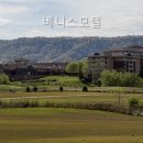 베니스 모텔 네이버블로그