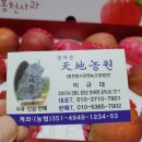 홍천참사과영농조합법인