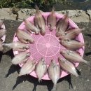 서후초교 이미지