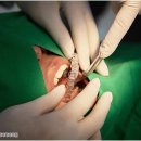 플래티넘치과의원 이미지