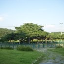 예천온천 이미지