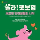 (주) 하늘펫 올치올치