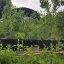 정촌농장 이미지