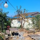 모장힐링 하우스 이미지