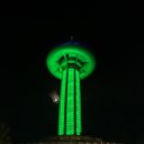 늘푸른충전소 | 완도 야경이 아름다운 완도타워전망대 방문 주말 놀거리 완도 명소 국내 여행지 추천 가을밤에 가볼만한곳