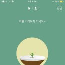 포레스트(forest) 이미지