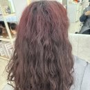 까르르스타천안 | 천안 복구매직 히피펌 탄머리 복구 후기‼️｜악성곱슬도 살린 리코살롱