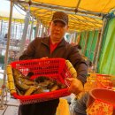 스카이좌대낚시터 Daum카페
