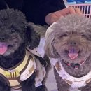 부천로2번길 이미지