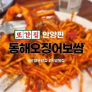 쌍용프라자 만안코너 | 안양 또간집 1등 맛집 &#39;동해오징어보쌈&#39; 후기 / 웨이팅 시간 풍자 재촬영 동해 오징어 보쌈 안양가볼만...